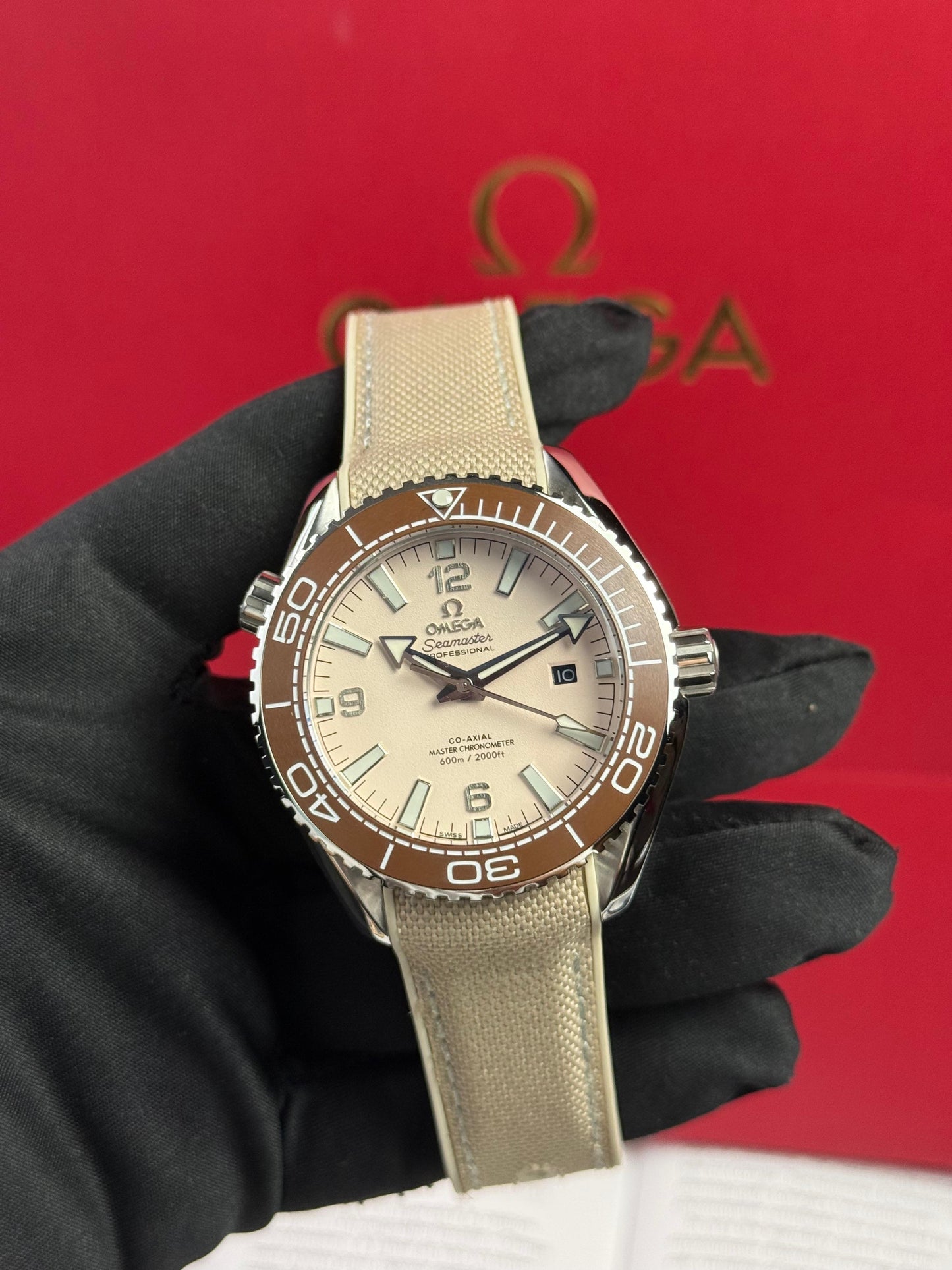 Omega Seamaster Planet Ocean 600M